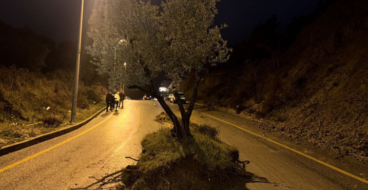 Aydın'da Şiddetli Yağış ve Dolu Olayı