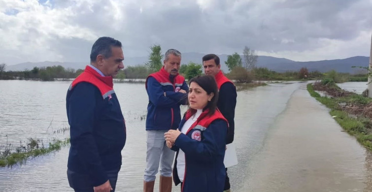 Aydın'da Su Baskınları Sonrası Tarım Zararı Tespiti Yapıldı