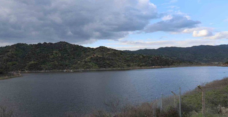 Aydın'da Yağmurlar Barajları Canlandırdı