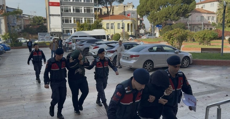 Aydın'da Zeytin Hırsızlığı: İki Şüpheli Tutuklandı