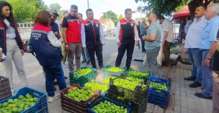 Aydın'ın dünya markası inciri için sahada yoğun mesai