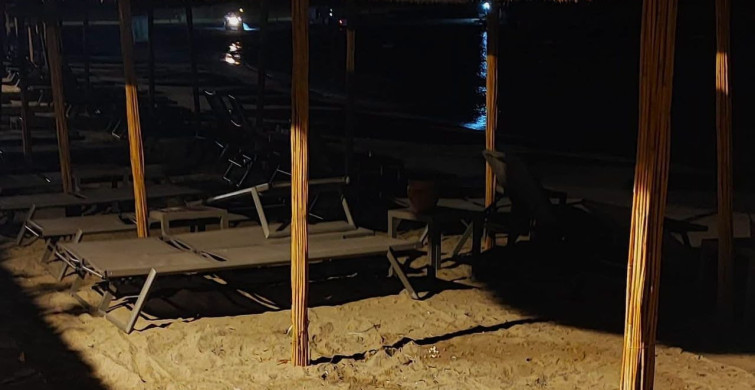 Aydın'ın Kuşadası ve Didim kıyılarında caretta hareketliliği