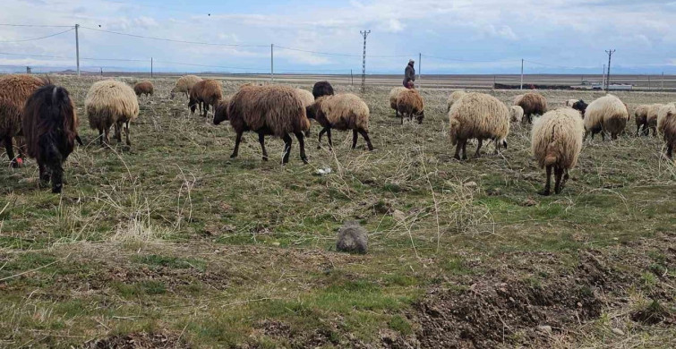 Aydınlar Beldesi'nde İki Mevsimin İzleri