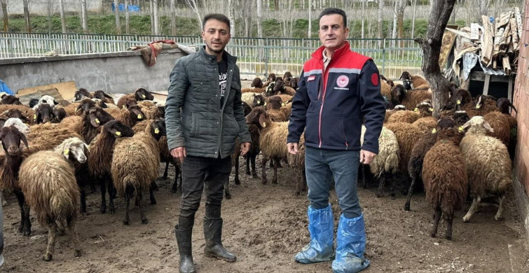 Aydıntepe'de Kırsal Üretim Projelerinde Kontroller Devam Ediyor