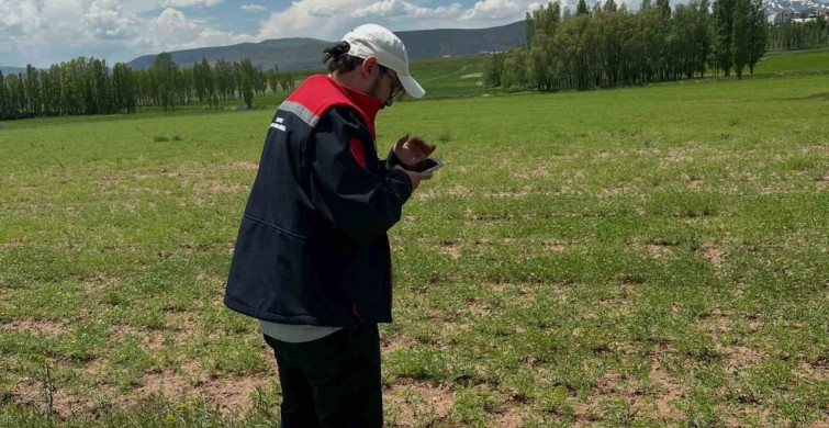 Aydıntepe’de ürün tespit çalışmaları devam ediyor