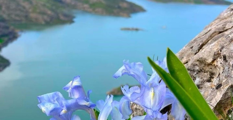 Ayı Nevruzu Bahar İle Birlikte Gerger'i Renklendiriyor