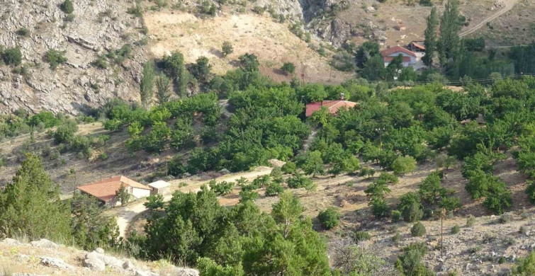 Aysel Yıldırım için 1600 rakımlı dağlık alanda arama çalışmaları devam ediyor