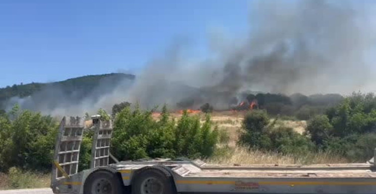 Ayvacık’ta orman yangını başladı