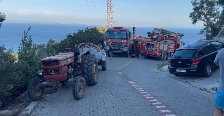 Ayvacık'ta zeytinlik alanda çıkan yangın kontrol altına alındı