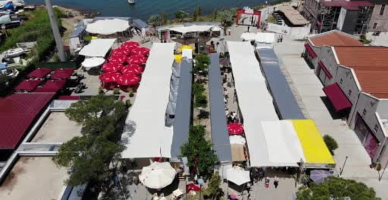 Ayvalık'ta Gastronomi Festivali Coşkusu