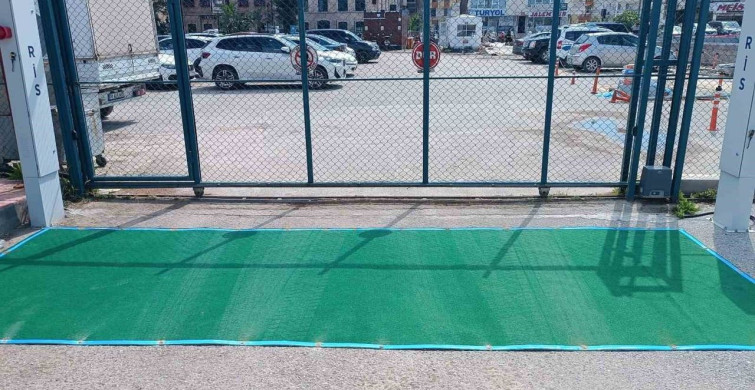 Ayvalık'ta Şap Hastalığına Karşı Önlemler