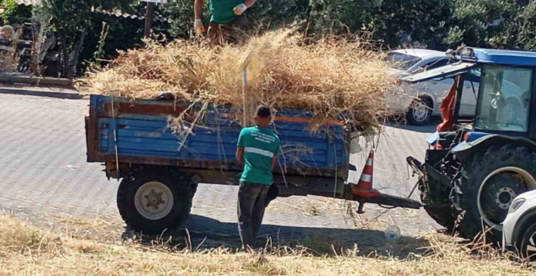 Ayvalık’ta yangın riskine karşı kuru ot temizliği sürüyor