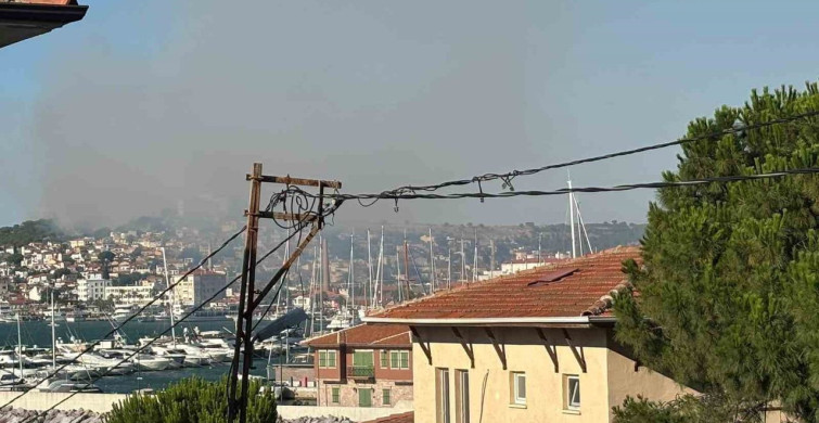 Ayvalık'taki örtü yangını kontrol altına alındı