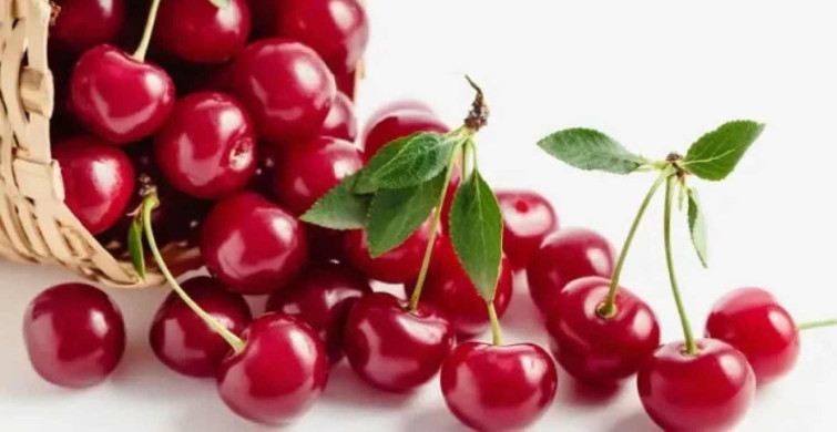 Azı yararlı çoğu zararlı kirazın bilinmeyen iyi ve kötü etkileri!