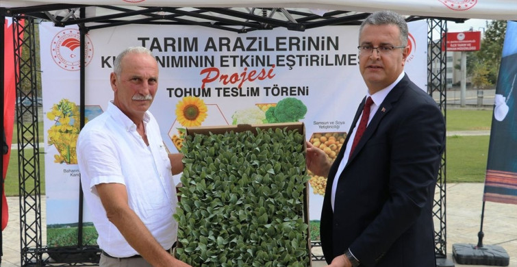 Bafra Ovası'nda 347 Bin Sebze Fidesi Dağıtıldı