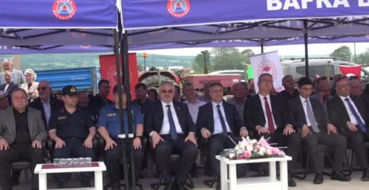 Bafra Ovası'nda Geleneksel Çeltik Ekim Günü Heyecanı