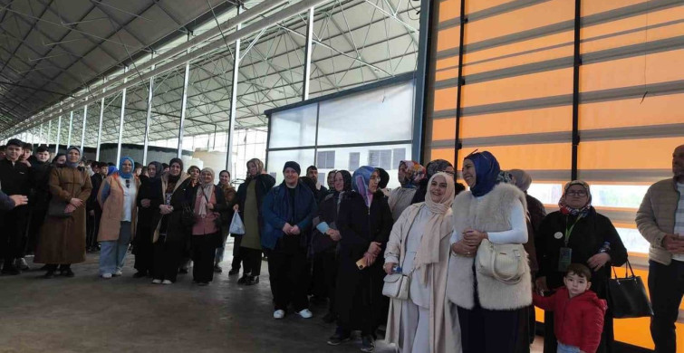 Bafra'da Öğrenciler Üretim Alanlarını Gezdi