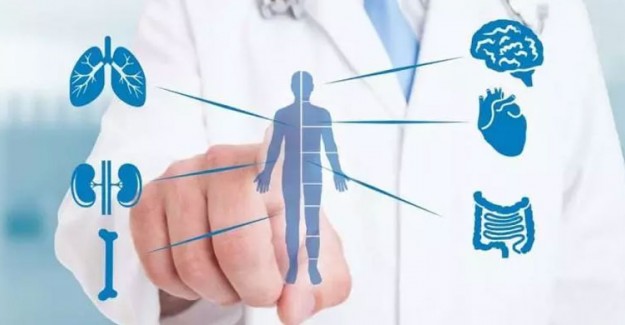 Bağışıklık Sistemi Nedir? Bağışıklık Sistemi Güçlendirici Besinler Nelerdir?