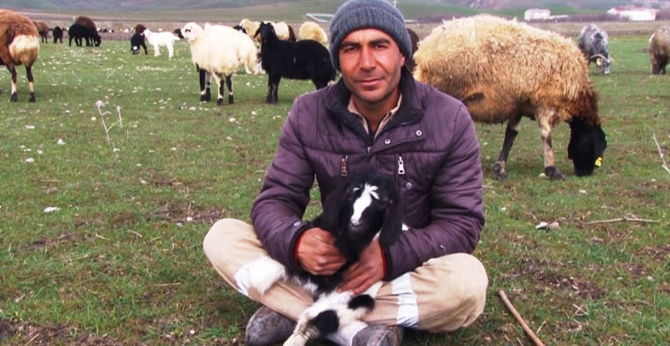 Baharın Gelmesiyle, Besicilerin Yüzü Güldü