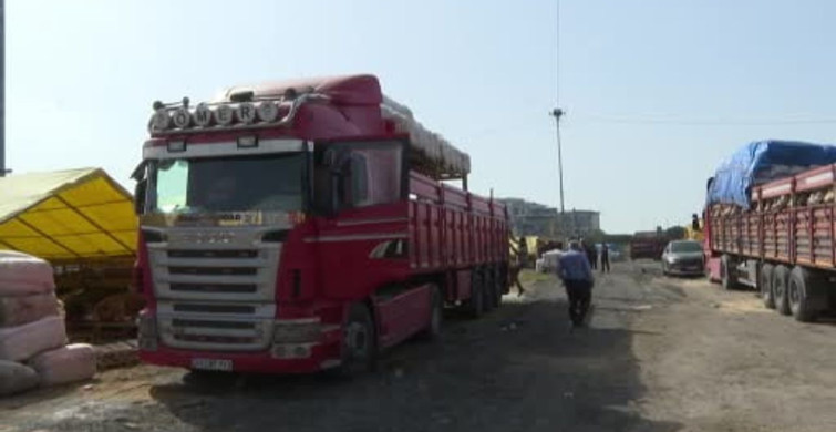 Bahçelievler'de Kurban Bayramı Hazırlıkları Tamamlandı