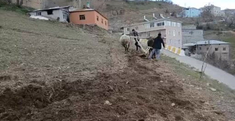 Bahçesaray’da Geleneksel Tarım: Karasaban Yöntemi