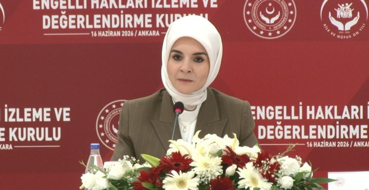 Bakan Göktaş: Engelli Hakları İzleme ve Değerlendirme Kuruluna iki alt çalışma grubu ekleniyor