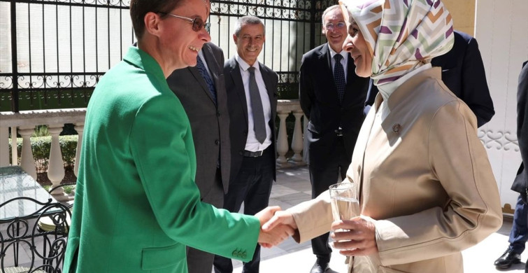 Bakan Göktaş, Frankofon Büyükelçilerle Aile Diplomasisi Üzerine Görüştü