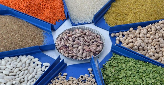Bakan Pakdemirli Açıkladı! Nohut ve Mercimek Üretimi Rekor Seviyelere Çıktı