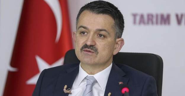 Bakan Pakdemirli Açıkladı! Ödemeler Cuma Günü Yapılacak