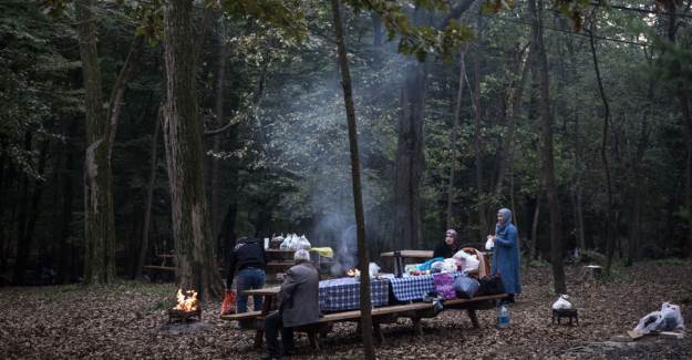 Bakan Pakdemirli: Mangal Yasağı İçişleri Bakanlığının Gündeminde