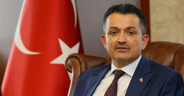 Bakan Pakdemirli: Muğla'daki Yangın Kontrol Altında