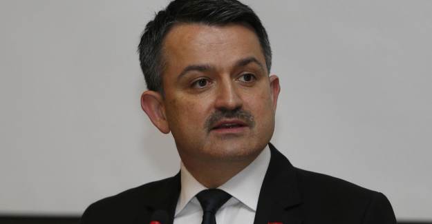 Bakan Pakdemirli: Yanan Alanların 1 Metrekaresi Dahi Başka Bir Amaçla Kullanılmayacak