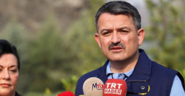 Bakan Pakdemirli'den İzmir'deki Yangına İlişkin Açıklama 