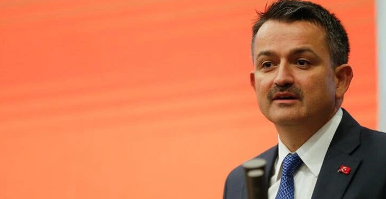 Bakan Pekdemirli: Orman Yangınları ile Mücadele ve Ormancılık Faaliyetlerinde Çalıştırılmak Üzere İşçi Alacak