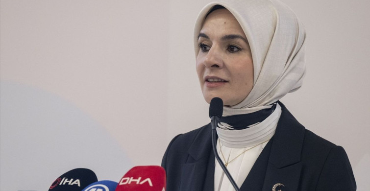 Bakım Ekonomisinin Dönüştürücü Gücü: BM Programı Kapanış Toplantısı