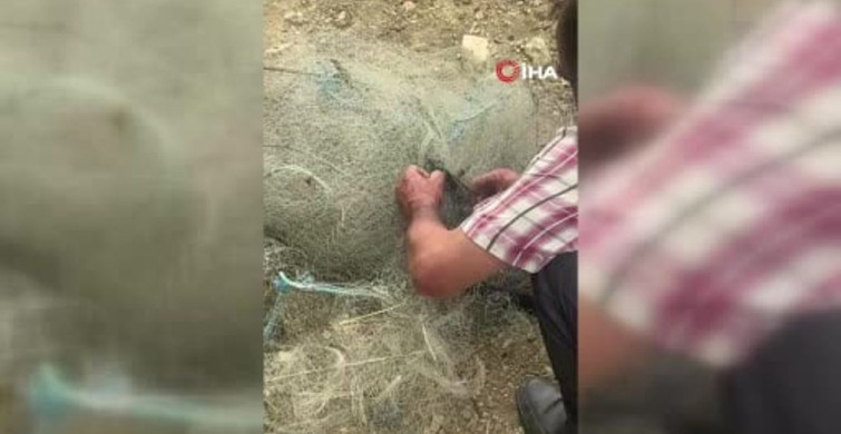 Balık ağına takılan yılan, duyarlı vatandaş tarafından kurtarıldı