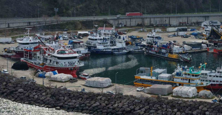 Balık Sezonu Değerlendirmesi: Hamsi ve İstavrit Boldu