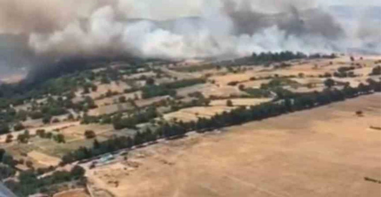 Balıkesir altıeylül’de orman yangınıyla mücadele sürüyor