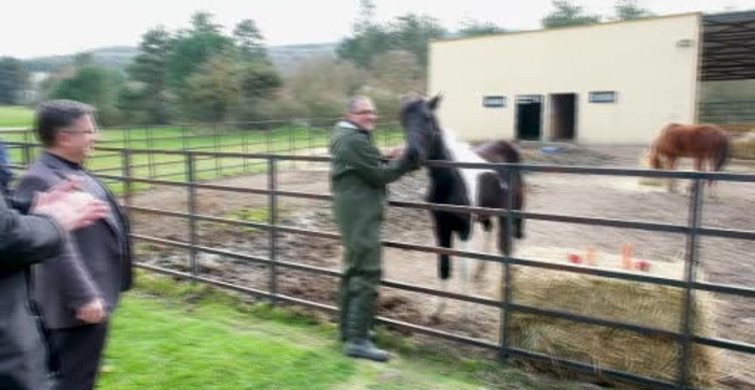 Balıkesir Üniversitesi’nden Türkiye’nin İlk Tüp Tayına Doğum Günü Kutlaması