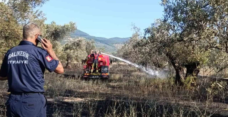 Balıkesir Ziraat Odası Başkanı Demirbay: "Bir yıllık emek bir sigara izmaritiyle kül olmasın"