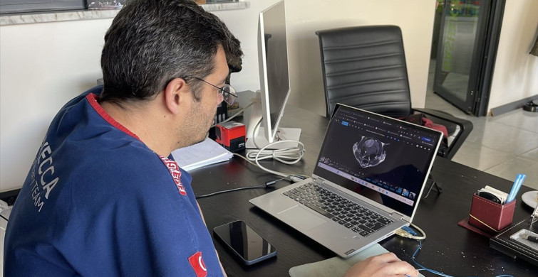 Balıkesir'de 15 Yaşındaki Kedinin Beyninden Kafatası Büyüklüğünde Tümör Çıkarıldı