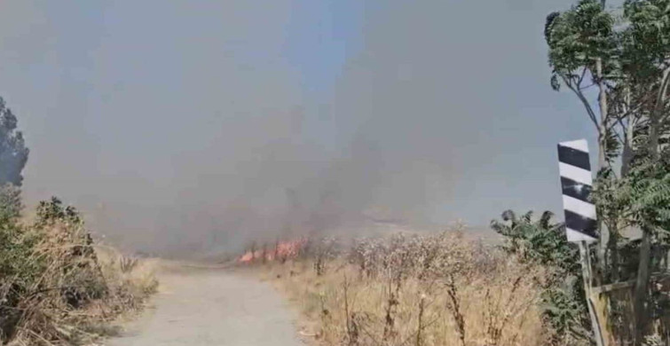Balıkesir'de arazi yangını kontrol altına alındı