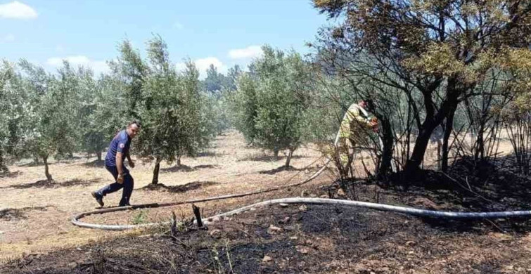 Balıkesir’de balya makinesindeki yangın tarlaya sıçradı
