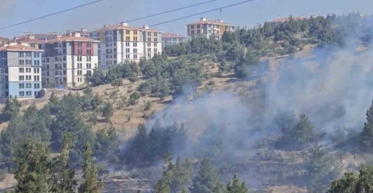 Balıkesir'de çam ağaçlarıyla dolu koruluk alanda yangın çıktı