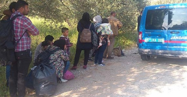Balıkesir’de Göçmen Kaçakçılığı Operasyonu