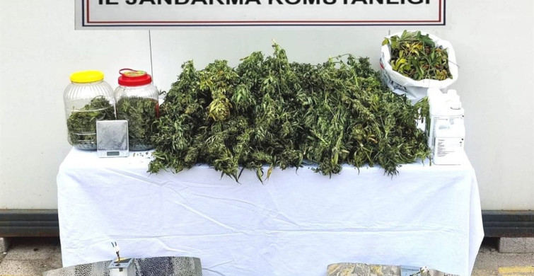 Balıkesir'de jandarmadan uyuşturucu serasına çevrilen evlere baskın: 12 gözaltı