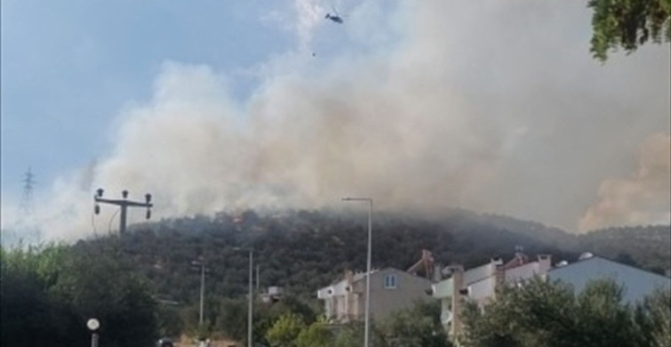 Balıkesir'de Makilik Alandaki Yangın Kontrol Altına Alındı