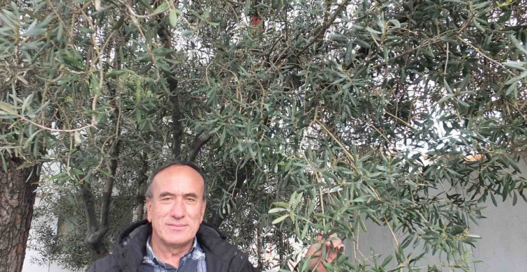 Balıkesir'de Nisan Yağmurları Zeytin Üreticilerine Umut Aşılıyor