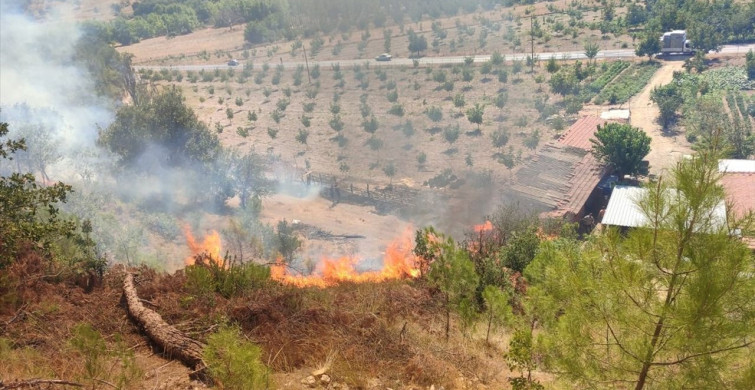 Balıkesir'de Orman Yangınına Mücadele Devam Ediyor