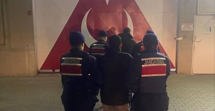 Balıkesir'de Zeytin Hırsızlığı: İki Tutuklama